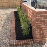 Front Garden Wall